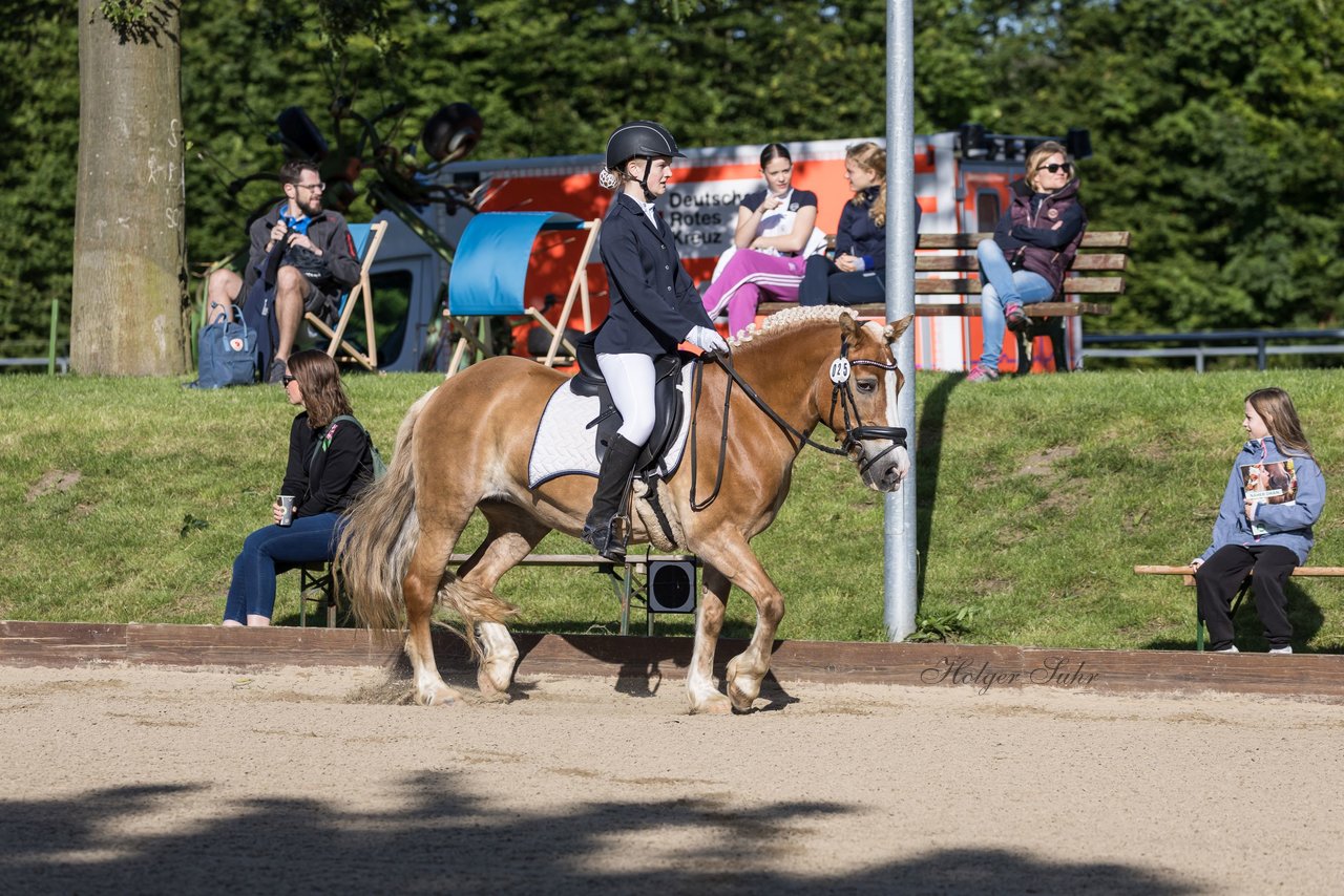 Bild 5 - Pony Akademie Turnier